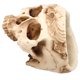 thumbnail image 5 of Maceta con forma de calavera maceta con forma de calavera herramienta práctica finamente elaborada para decoración del hogar muebles para el hogar personalizados adornos de ANGGREK Otros, 5 of 8