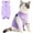 Purple, variant on Cat Recovery Suit, Breathable Cat Surgery Recovery Suit , Cat Onesie for Cats After Surgery Spay Surgical Abdominal Wound Skin Diseases Cone of Shame Alternative