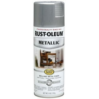Rust-Oleum 7887830-6PK Specialty Appliance Epoxy Spray Paint, 12 oz,  Stainless Steel, 6 Pack 