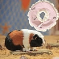 thumbnail image 4 of Collar de cono de hámster, Collar de recuperación para gatos, perros, gatitos, animales pequeños, mascotas Rosa S Zulema collar de recuperación para gatitos, 4 of 8