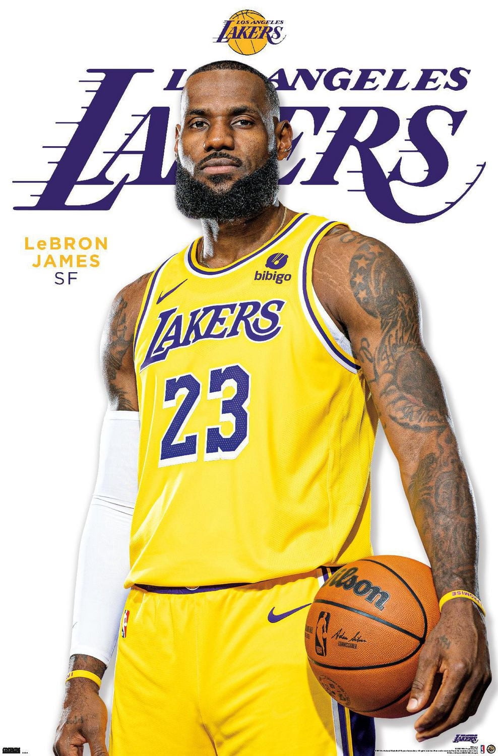 NBA LeBron James タペストリー NBA Los Angeles Lakers - LeBron James Feature Series 23 Wall