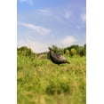 thumbnail image 4 of Flextone Thunder Jake Decoy, 4 of 5