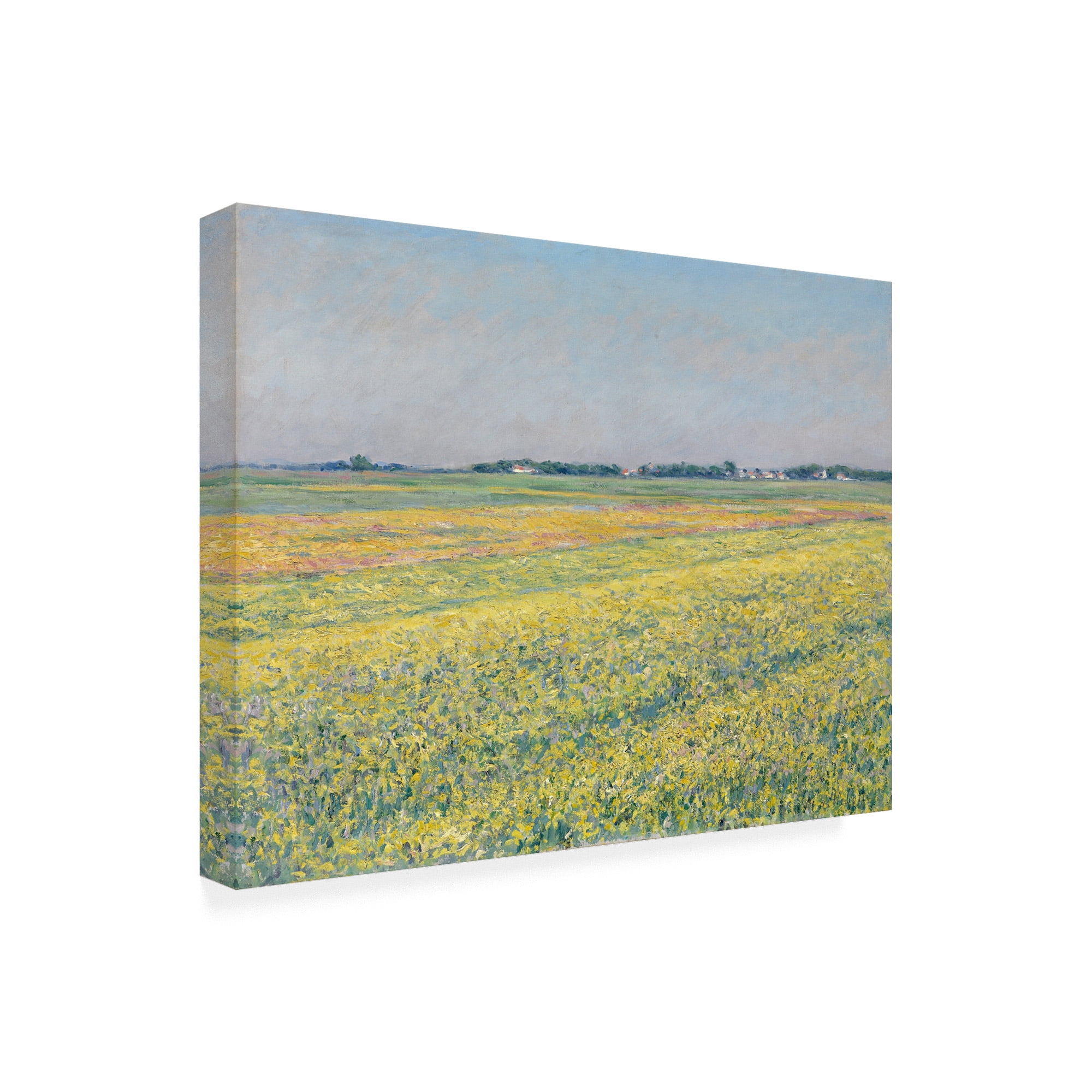 Gustave Caillebotte 'The plain of Gennevilliers' Canvas Art
