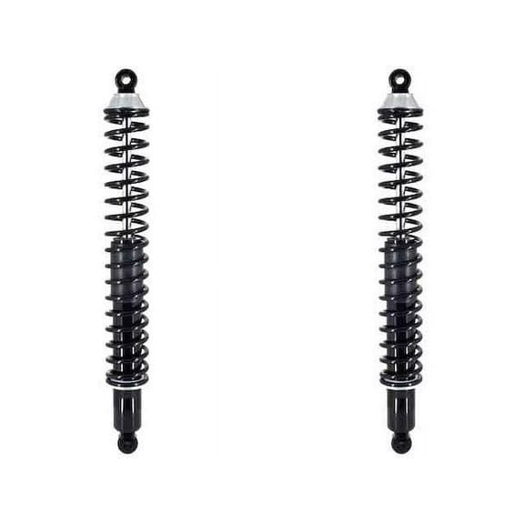 Rear Shock Absorber and Coil Spring Assembly - Compatible with 1994 - 2001 Dodge Ram 1500 4WD 1995 1996 1997 1998 1999 2000