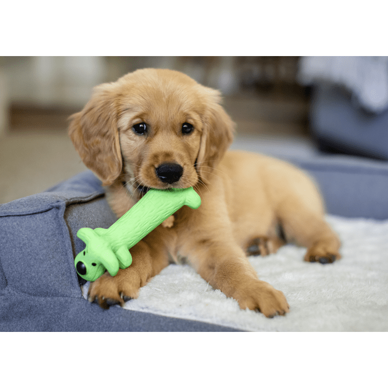 Multipet Smiling Loofa Dog Latex Dog Toy with Squeaker - Walmart.com