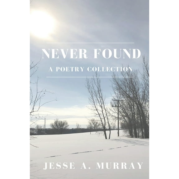 Never Found, (Paperback)