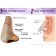 thumbnail image 3 of Clip Para Alisar La Nariz, Silicona Segura, 3 Piezas, Moldeador De Nariz , Ajuste Del Contorno Para Uso Diario Para Hombres Y Mujeres, 3 of 7