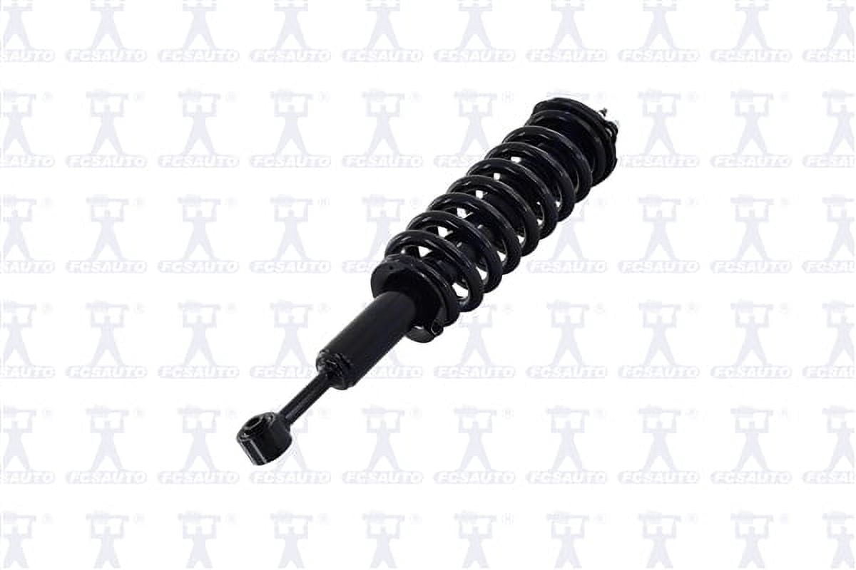 Suspension Strut and Coil Spring Assembly