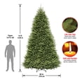 thumbnail image 3 of National Tree DUH-140 14 ft. Dunhill Fir Hinged Tree, 3 of 5