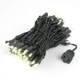 thumbnail image 2 of Novelty Lights Warm White 100 LED Christmas Mini Light Set (Black Wire, 34 Feet), 2 of 7