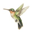 thumbnail image 1 of Hummingbird Badge Hard Enamel Rubber Backing Pin Jackets Backpacks Hats Lapel Brooch Nature Accessory, 1 of 8