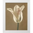 thumbnail image 3 of Amy Melious 26x32 White Modern Wood Framed Wall Art Titled - Lumiere Tulip I, 3 of 5