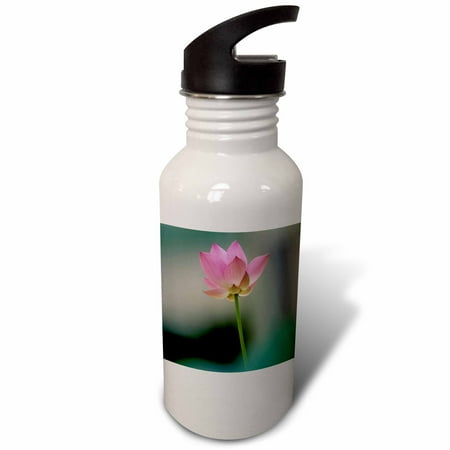 

3dRose Bloom of Lotus Flower Bangkok Thailand-AS36 RYO0111 - Russell Young Sports Water Bottle 21oz