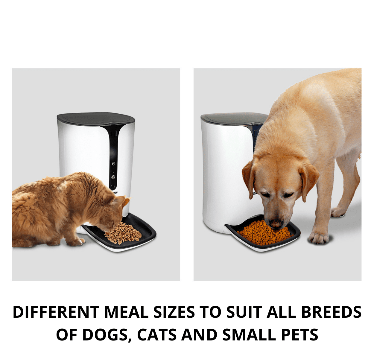 Lentek Smart Pet Feeder with 720p HD Video, 2-Way Audio, 200 oz. Programmable WiFi Cat or Dog Food Dispenser, Schedule Mealtimes, Automatic Portion Control, Free App for iPhone and Android Smartphone