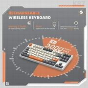 ZIYOULANG K87 Mechanical Keyboard, TKL 87 Keys Wireless 2.4GHz/Bluetooth 5.1/Wired Custom Coiled USB C Cable RGB Gaming Keyboard, Hot-Swappable Red Switch for PC PS5 PS4 Xbox one Mac Cherry MX