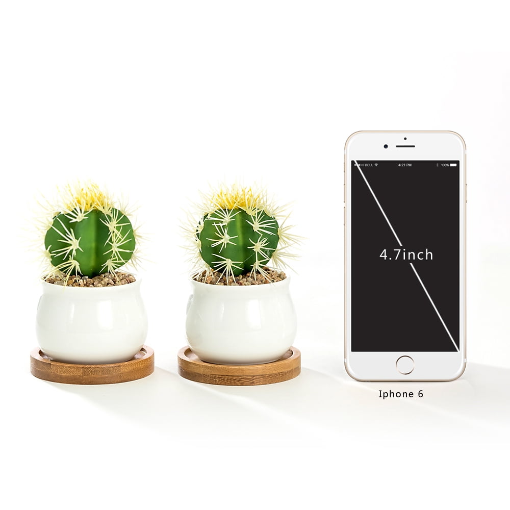 K-Cliffs White Jar Shape Design Ceramic Pots with Bamboo Tray, Set of Pot - 2.75L x 2.75W x 2H inches; Bamboo Saucer - 3.2L x 3.2W x 0.5H inches