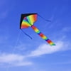 80inch Rainbow Stripe Delta Kite with Spinning Tail