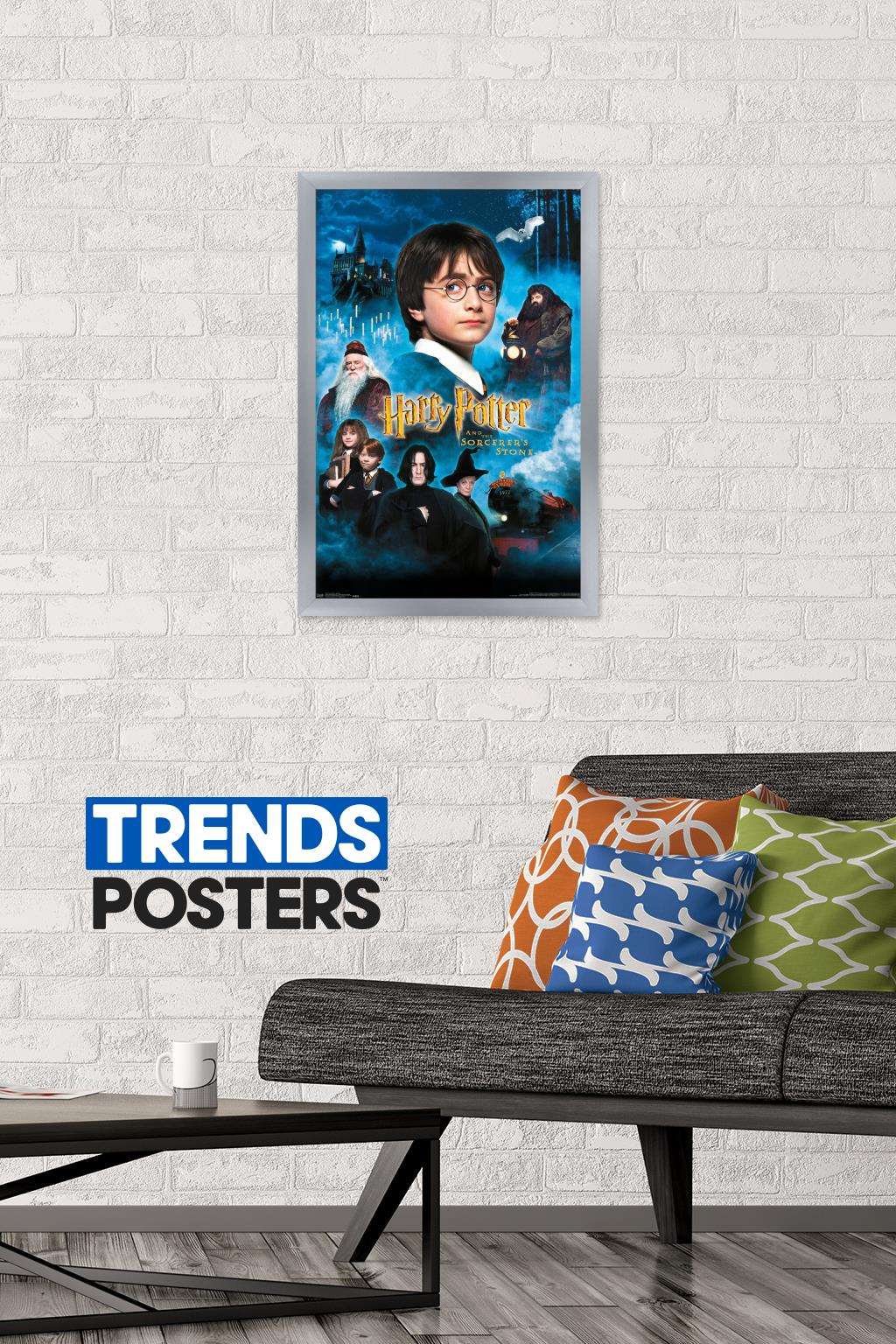 Harry Potter and the Sorcerer's Stone - Candles One Sheet Wall Poster, 14.725" x 22.375", Framed