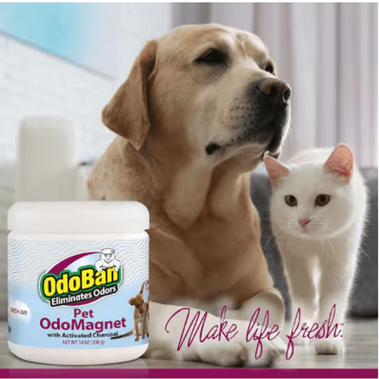 14oz. OdoMagnet Odor Absorber with Activated Charcoal Pet Odor Eliminator for Home Bathroom Kitchen Fresh Air Scent
