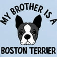 thumbnail image 2 of CafePress - My Brother Is A Boston Terrier Baby Light Bodysuit - Baby Light Bodysuit, Size Newborn - 24 Months, 2 of 4