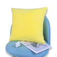 thumbnail image 2 of Abbracc Housse de Coussin Décorative en Velours Taie d'Oreiller Jaune 60 x 60cm, 2 of 9
