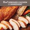 thumbnail image 4 of Simply Nourish® Nourriture Sèche pour Chiens Adultes de Grande Race Originale - Poulet et Riz Brun, 4 of 4