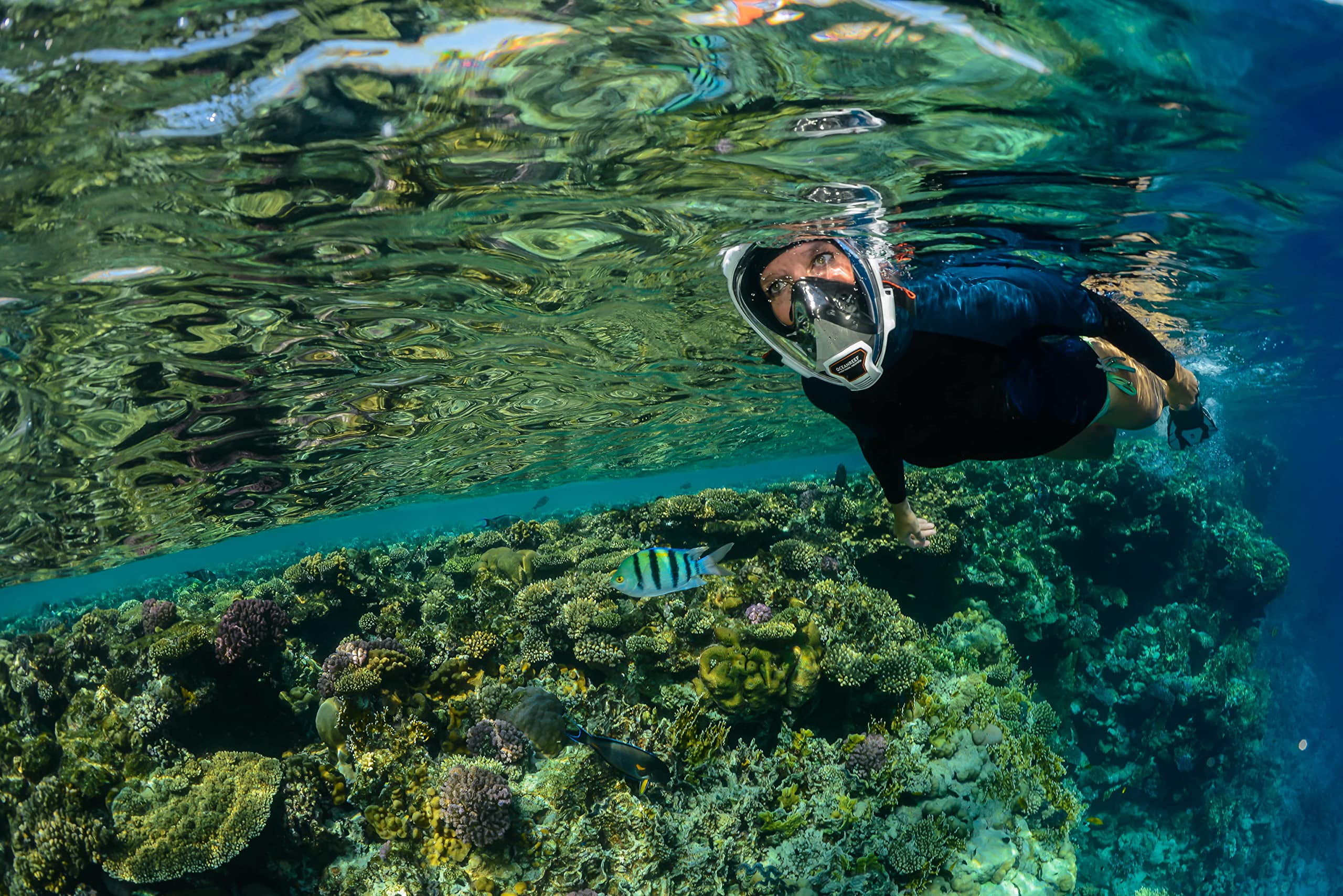 Snorkeling Pink Ocean Reef Aria QR+ Duo Travel Ready Mask/Fins Set Diving