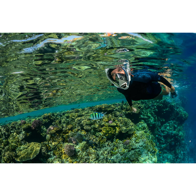 Ocean reef Masque De Plongée Intégral Avec Support Pour Appareil Photo Aria  QR+ Gris