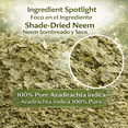 thumbnail image 6 of HOJA DE NEEM TE (Dried Neem Leaves) 4 oz FOR TEA and Cooking harvested from Naturally Grown Trees, 6 of 9