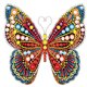 thumbnail image 1 of 5D DIY Parcial Especial en Forma Taladro Diamante Pintura Mariposa Del, 1 of 9