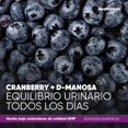 thumbnail image 4 of Urinary Harmony Health Hack Cápsulas con Cranberry D-Manosa Arándano Equinácea y Zinc 60 Cápsulas, 4 of 7