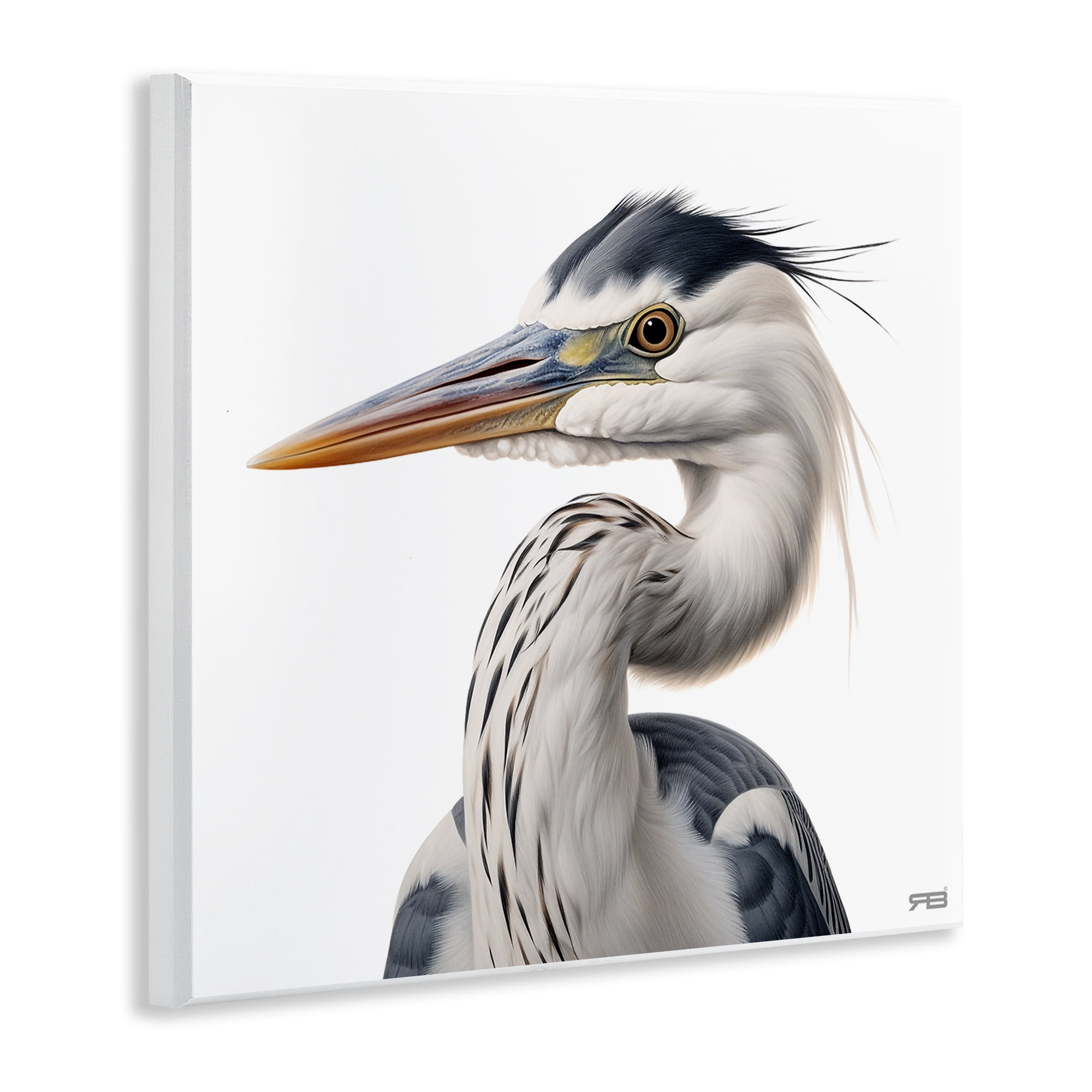 Stupell Industries Stoic Heron Looking Left Animals & Insects Painting Unframed Art Print Wall Art, 12 x 12