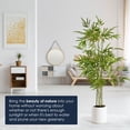 thumbnail image 3 of American Art Decor Realistic Artificial Bamboo Tree Faux Plant in a white pot for Home Decor, Indoor Living Room, or Office, 60", 3 of 6
