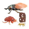 thumbnail image 3 of Conjunto de modelos de ciclo de de animales Juguete de salmón Colección de juguetes educativos para Sunnimix  Juego de crecimiento de tortugas marinas, 3 of 8