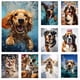 thumbnail image 2 of Póster de perro nadando, cocker spaniel, beagle, bernés, montaña, dóberman, impresión de arte de pared, imágenes, pintura en lienzo, decoración del hogar, 2 of 5