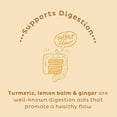 thumbnail image 6 of KOS Chai Tea Latte, Organic Turmeric Latte Blend, Amazing Gingerbread Chai Flavor, 9.52oz, 30 Servings, 6 of 8