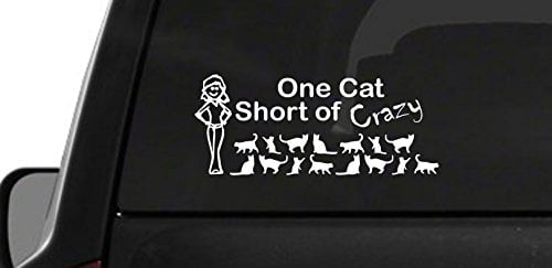 Funny Family Love Figure Car Window Bumper Crazy Cat Lady Sticker Vinyl Decal 
