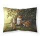 thumbnail image 1 of ""Caroline'S Treasures Zorros Descansando Bajo El Árbol Funda De Almohada Estándar De Tela Bdba0382Pillowcase Multicolor"", 1 of 1