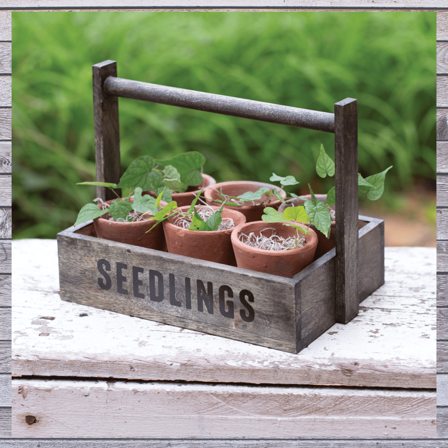 Seedling Pots Caddy Plant Box Rectangular Planter Outdoor Garden