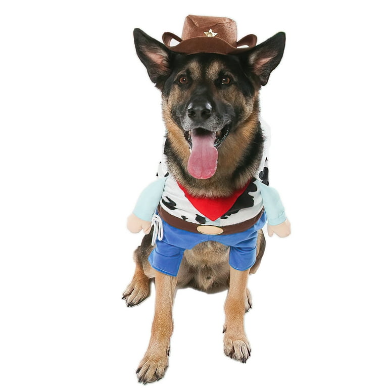 Large dog 2025 cowboy costume