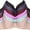 4342pld, variant on Womens 6 Pack of Everyday Plain, Lace, D, DD, DDD Cup Bra -Various Style 4208P1, 46DDD