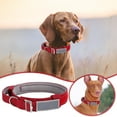 thumbnail image 2 of Collier pour Chien Léger Anti-Explosion Traction Grand Collier pour Chien, 2 of 4