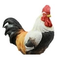 thumbnail image 5 of Black Breasted Rooster Statue With Base 7"Tall Proud Country Chicken Figurine, 5 of 5