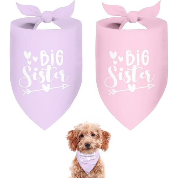 Big Sister Dog Bandana 2 Pack - Pregnancy Announcement Props & Gender Reveal Dog Outfit Accessories (Pink, Purple) Small