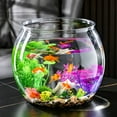 thumbnail image 4 of BESTYASH Portable Fish Bowl Transparent PET Space Saving For Goldfish 1 Set, 4 of 7