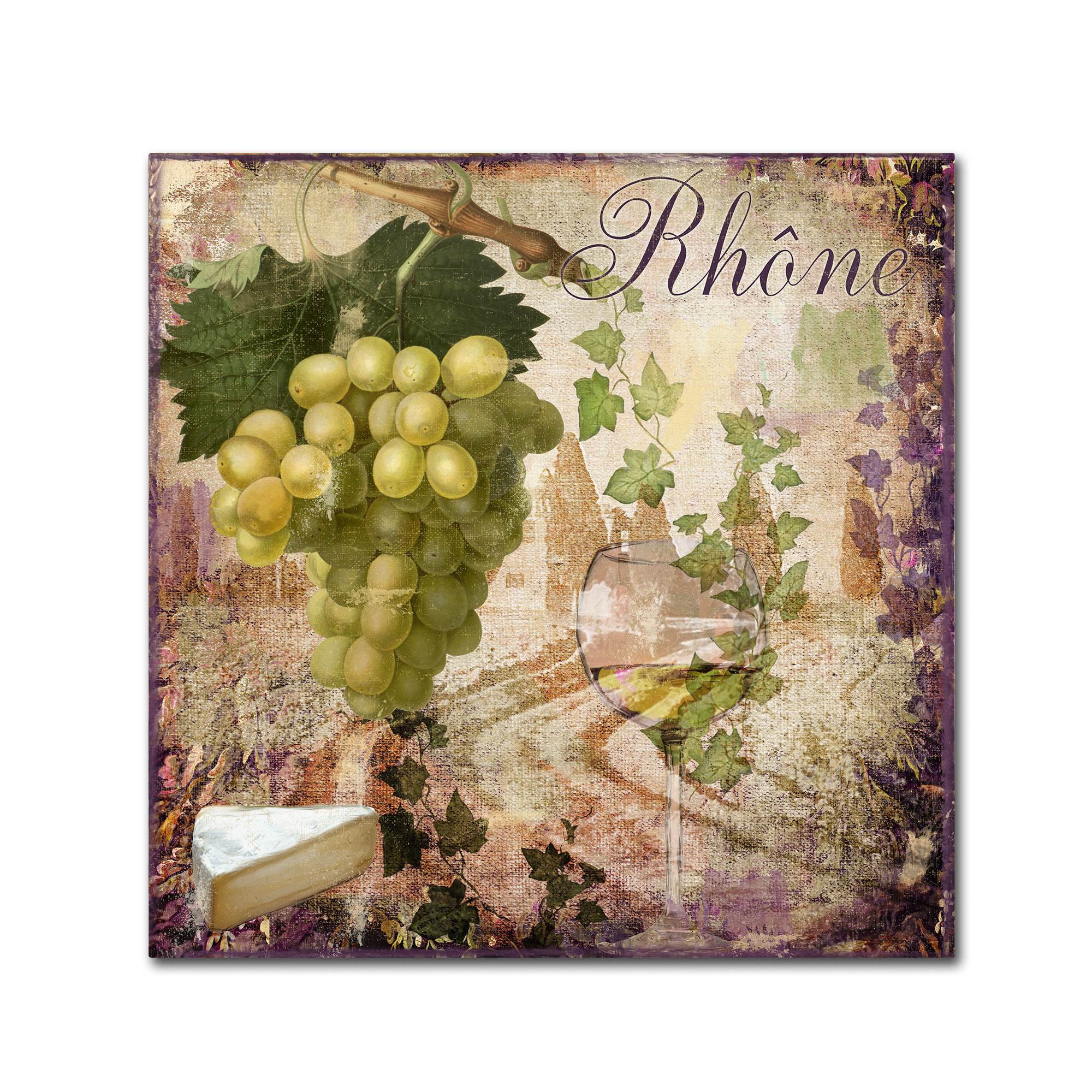 Trademark Fine Art "Wine Country VI" Canvas Art by Color Bakery