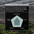 thumbnail image 4 of Naoki Matcha Orgánico Ceremonial First Spring Blend 40 g, 4 of 6
