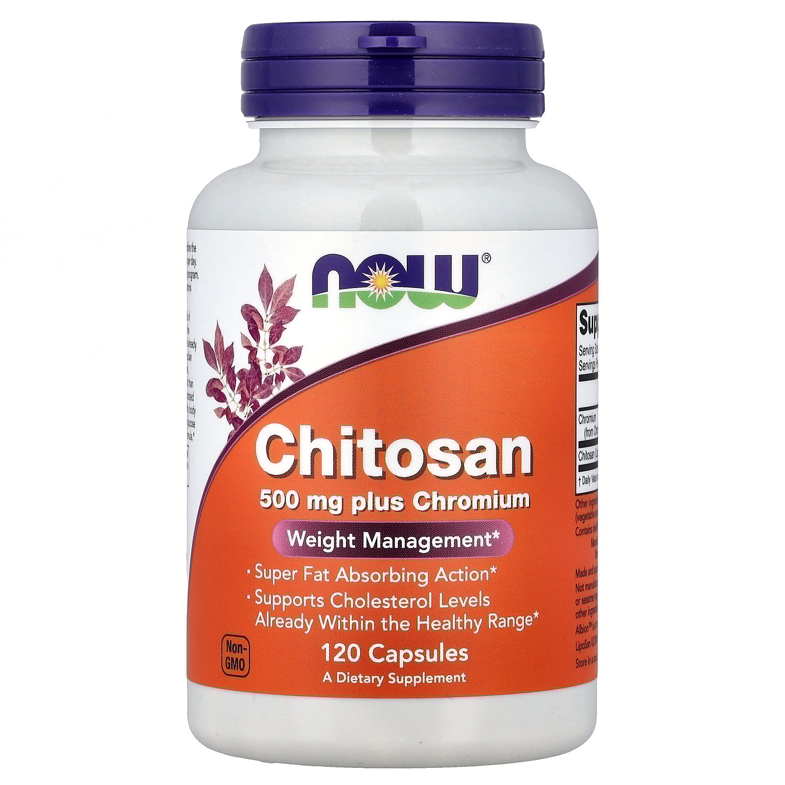 NOW Foods Chitosan Plus Chromium, 500 mg, 120 Veg Capsules