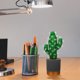 thumbnail image 2 of Adorno de cactus artificial en maceta, simulación realista, planta suculenta en maceta para decoración de mesa., 2 of 6