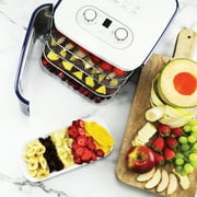NESCO FD-41B 400-Watt Snackmaster Jr. Dehydrator